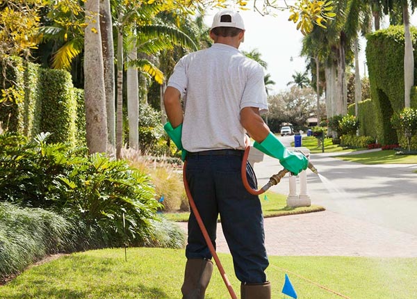 About Byron GA Pest Control Pros